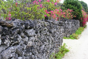 White sandy path lined by limestone walls with decorative bright bougainvillea