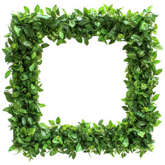 Poster - Square Green Leaf Frame