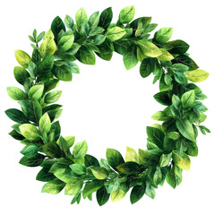 Poster - Green Leaf Wreath isolated transparent background