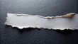 © lapeepon - Fragment of paper with jagged edge sitting on dark surface, negative space, void space,  negative space, void space, shadows, texture