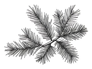 branch