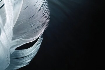 Poster - Elegant white feather detail on dark backdrop.