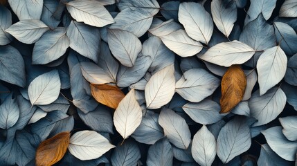 Canvas Print - Texture leaves closeup background plant abstract autumn white foliage nature fall