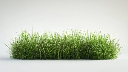 Wall Mural - Lush Green Grass: Nature Photography Background