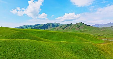 Wall Mural - Green grassland and mountain natural landscape in summer. Beautiful grassland pasture scenery in Xinjiang, China.