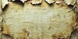 © Xolonavt - Vintage torn parchment serves as an antique background. Aged paper with weathered texture suggests history. Torn manuscript reveals historical edges. Nostalgic and rustic, perfect for classic