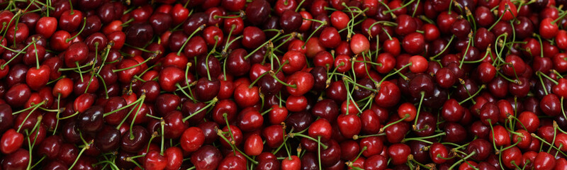 Wall Mural - Many ripe sweet cherries as background, closeup. Studio banner,  red sweet cherries.