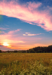 Wall Mural - rural landscape in the evening at sunset. vertical shot