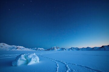 the frozen tundra under a clear starry night sky with a few scattered snowflakes, snowy, star, empty