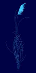 Poster - Plants blue contour, vector illustration