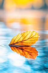 Poster - Floating Serenity Captured in a Vibrant Autumn Leaf Mirrored on a Tranquil Pond