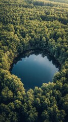 Poster - Serene lake surrounded by dense forests in the heart of nature during a clear day