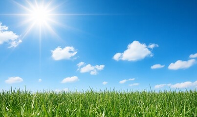 Bright sunny sky over a lush green field with scattered clouds.