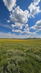 Wall Mural - vibrant sunflower field under a bright sky in summer