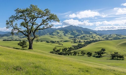 Wall Mural - Lush green hills under a clear blue sky with a solitary tree.