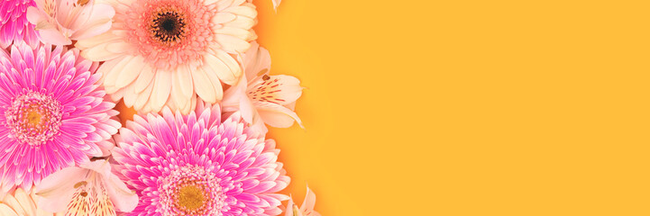 Wall Mural - gerbera and alstroemeria flowers on a yellow background. banner with place for text.