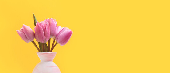 Wall Mural - banner with bouquet of pink tulip flowers in front of yellow background. gentle spring concept with 
