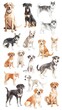 © Thirasit - Watercolor Collection of Diverse Dog Breeds in Sitting and Standing Poses