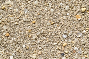 Poster - Sandy surface texture with small pebbles creating a natural pattern found on beaches or riverbanks