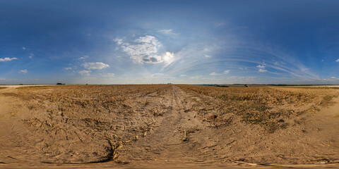 Wall Mural - hdri 360 panorama on farming fields in spring nasty evening before sunset in equirectangular full seamless spherical projection, for VR AR virtual reality content