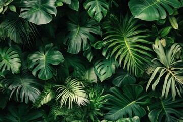  Lush green tropical foliage background. (74)