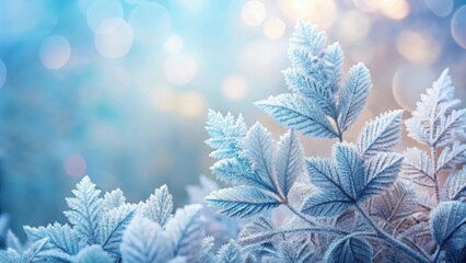 Aufkleber - Serene Winter Scene Delicate Frost-Covered Leaves Glistening in Soft Light