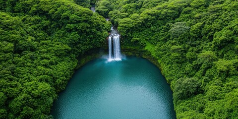 A lush green landscape featuring a cascading waterfall into a serene blue pool, surrounded by dense foliage.