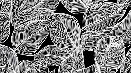 Wall Mural - White Linear Leaf Pattern on Black Background