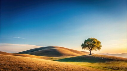 Poster - Serene Landscape A Single Tree Stands Tall on Rolling Hills Under a Vast Blue Sky
