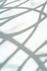 Poster - Abstract Shadows Created by Twisted Wire Artfully Play on a White Surface