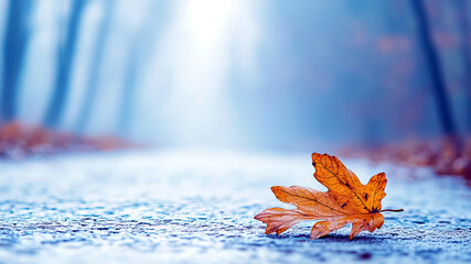 Poster - Winding Path Through a Mysterious Forest Enveloped in Fog With a Solitary Leaf Resting on the Ground