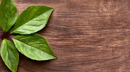 Wall Mural - A bunch of fresh green leaves on a wooden surface