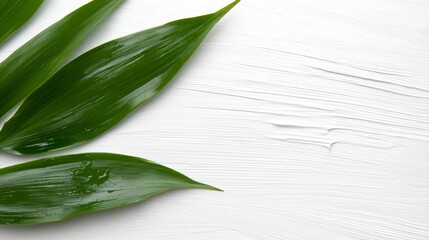 Wall Mural - green leaves on a white wooden surface