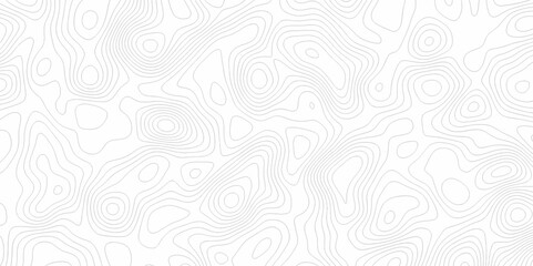white topography topology vector white background fresh contour map texture. white seamless pattern 