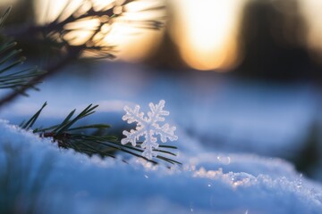 Poster - A single, delicate snowflake rests on a snow-covered pine branch at sunset.
