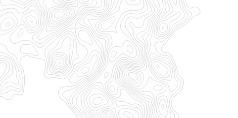 The patter discovery vector topo map creative discovery White wave grid stripe line map topography. vector geographic contour mounted map background.	