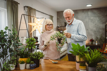 wife and husband plant flowers together take care of home plants