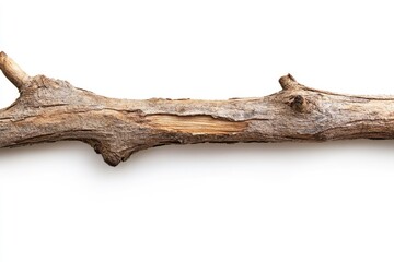 weathered dry branch on clean white background: rustic element of nature