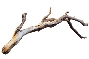 Isolated Dry Branch on White Background - Rustic Wood Element for Nature-Inspired Designs