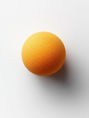 Wall Mural - Single Orange