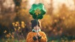© Tina.dot - Kid holding large shamrock cutout in sunny field during outdoor spring celebration
