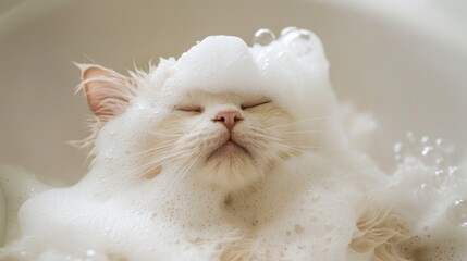 Poster - Cute Cat Relaxing in Bubble Bath with Foam and Blissful Expression