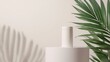 © VaVu  - Minimalist white product display with palm leaf shadow for modern design projects