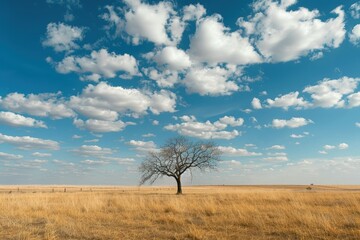 Wall Mural - Stunning view of a solitary tree against a vast blue sky and fluffy clouds in a golden grass landscape on a sunny day in the countryside