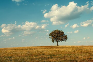 Aufkleber - Stunning view of a solitary tree against a vast blue sky and fluffy clouds in a golden grass landscape on a sunny day in the countryside