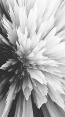 Wall Mural - Abstract grayscale artwork depicting a radiating flower