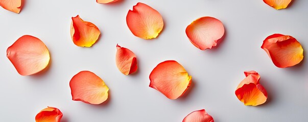 Poster - Minimal rose concept. Vibrant rose petals scattered on a clean surface, perfect for romantic themes.