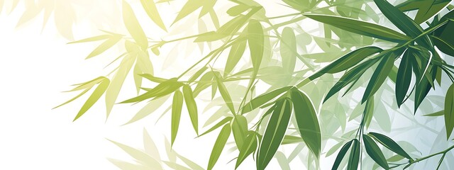 Poster - Green bamboo leaves background.