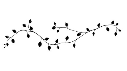 Poster - Black silhouette of a winding vine with leaves.