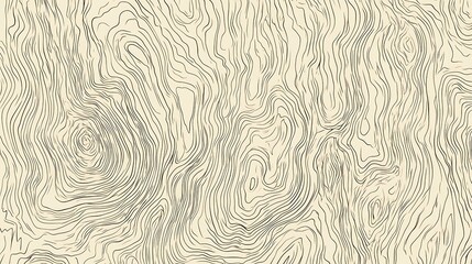 Poster - Abstract topographic map background with contour lines.
